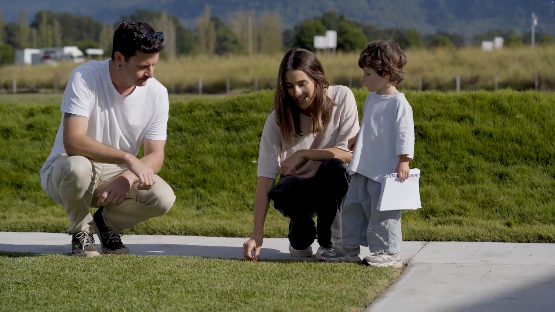 Family lawn